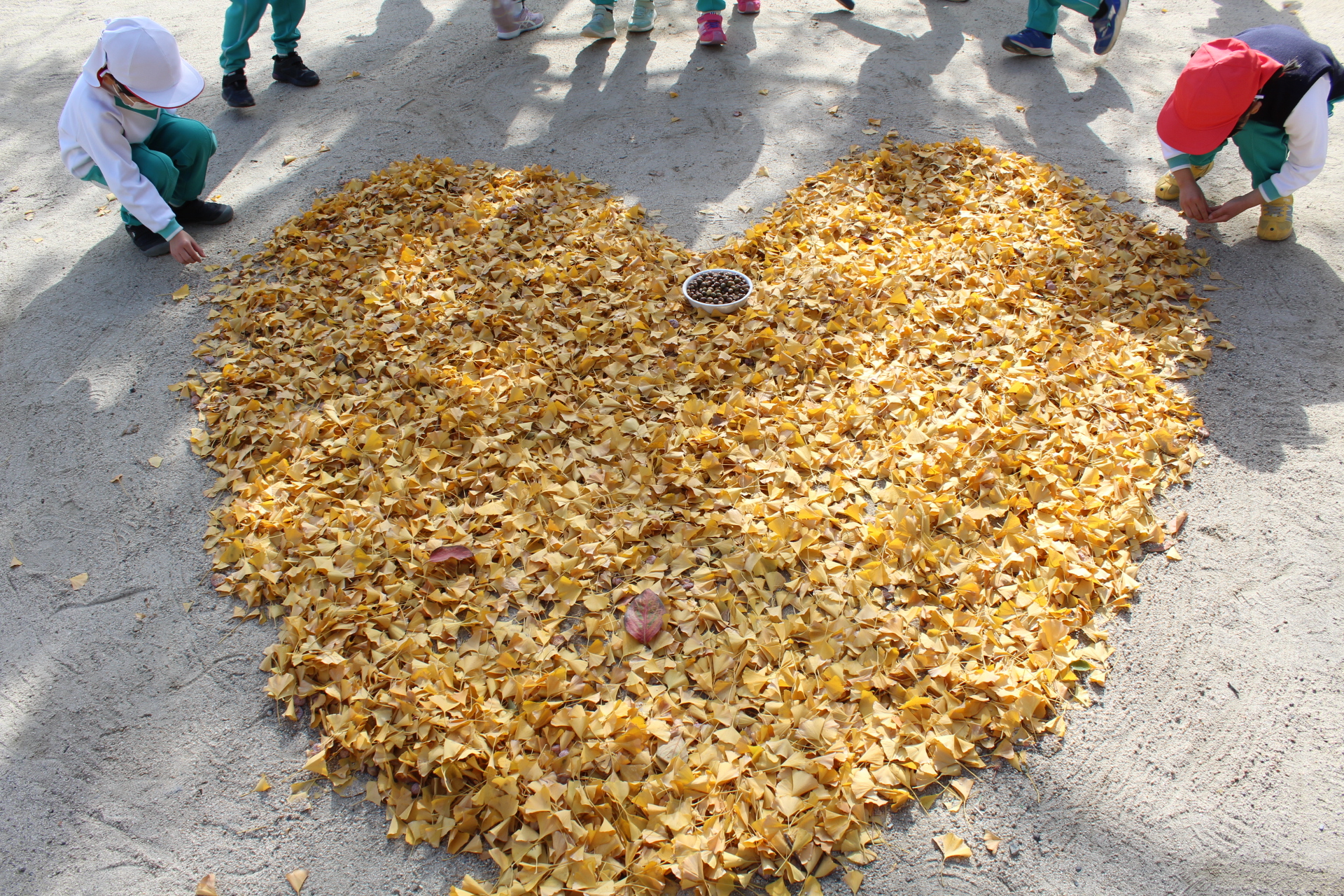 【youさま専用】赤松、銀杏2点セット確認用 IMG_0159.jpg